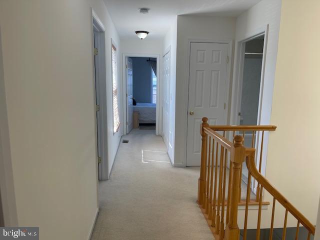 93 Shelley Cir