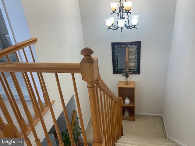 93 Shelley Cir