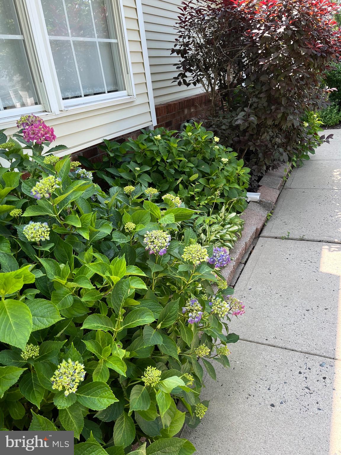 259 MEADOWLARK DRIVE