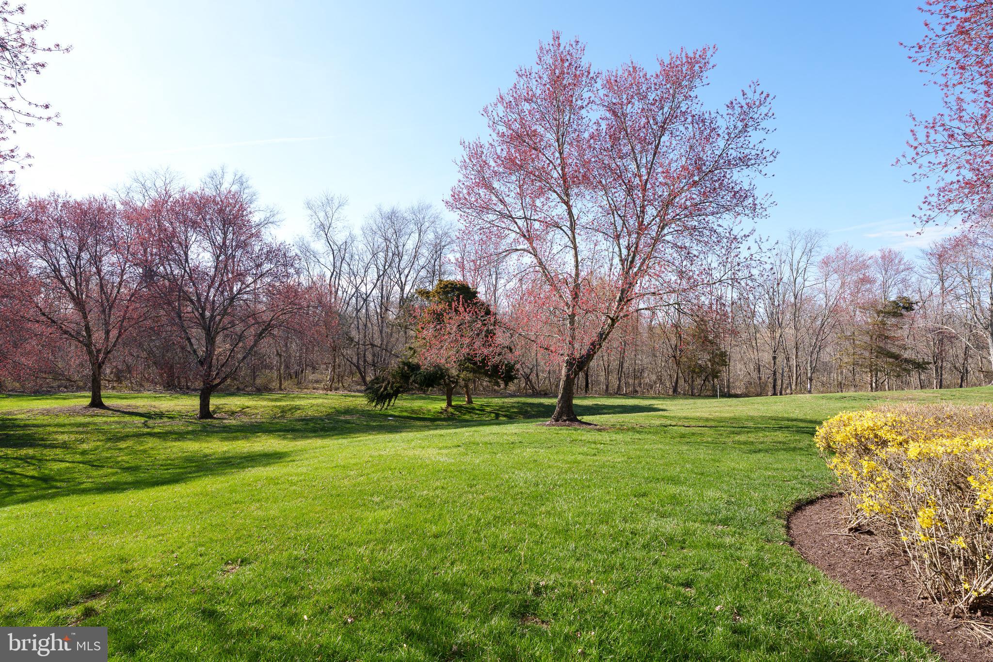 206 SALEM COURT 3