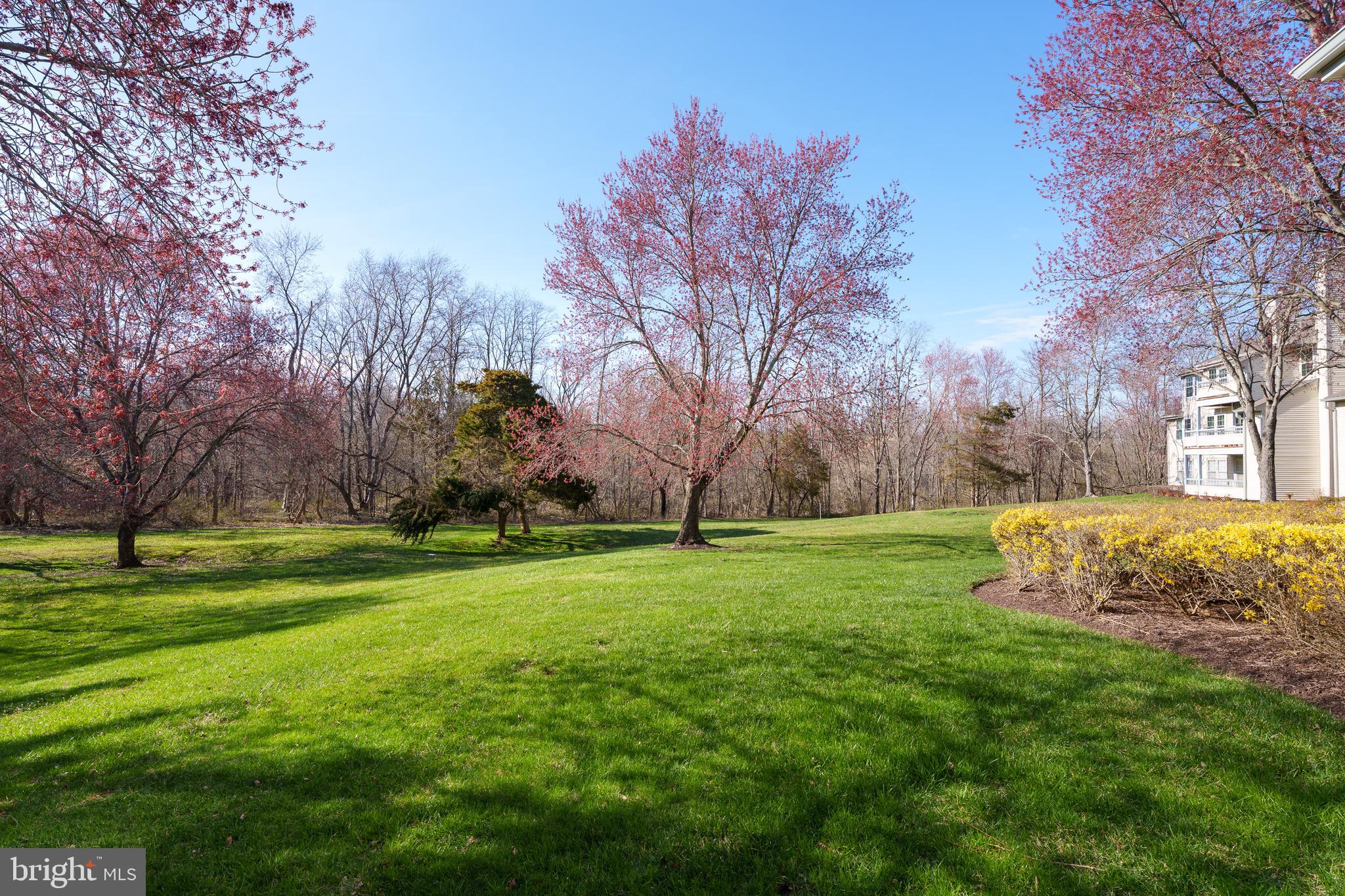 206 SALEM COURT 3