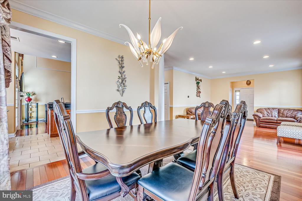 9 Marion Dr