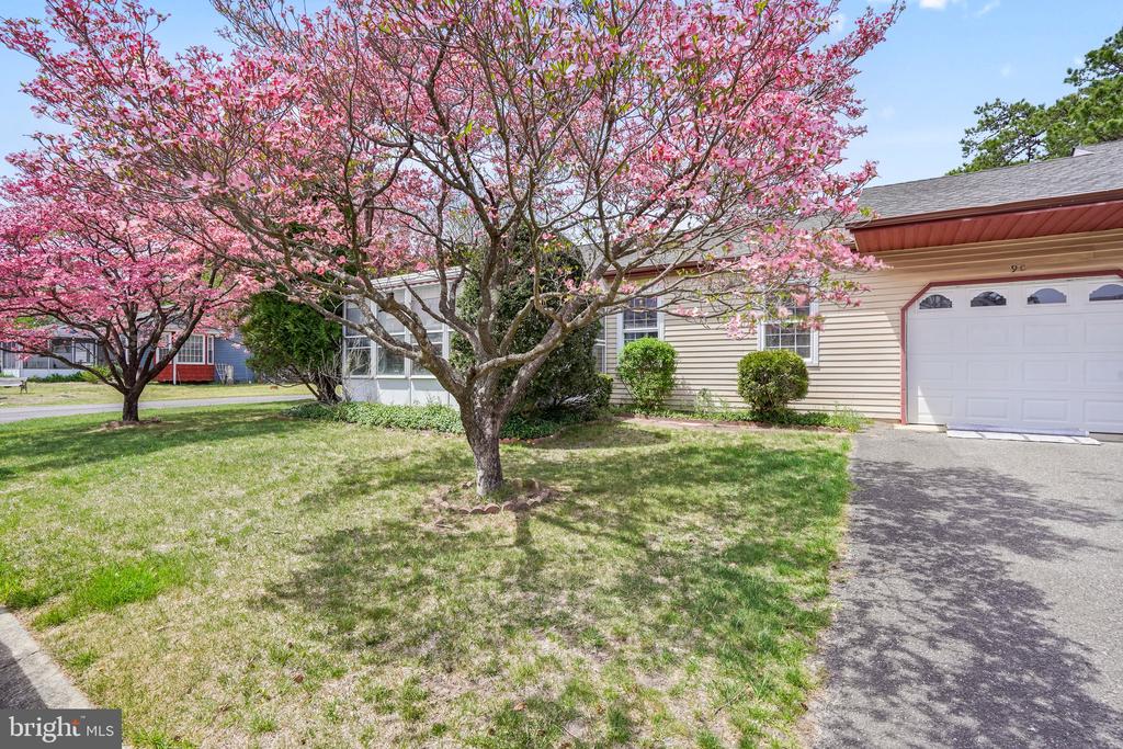 9-B Ardsley Avenue Sec 64