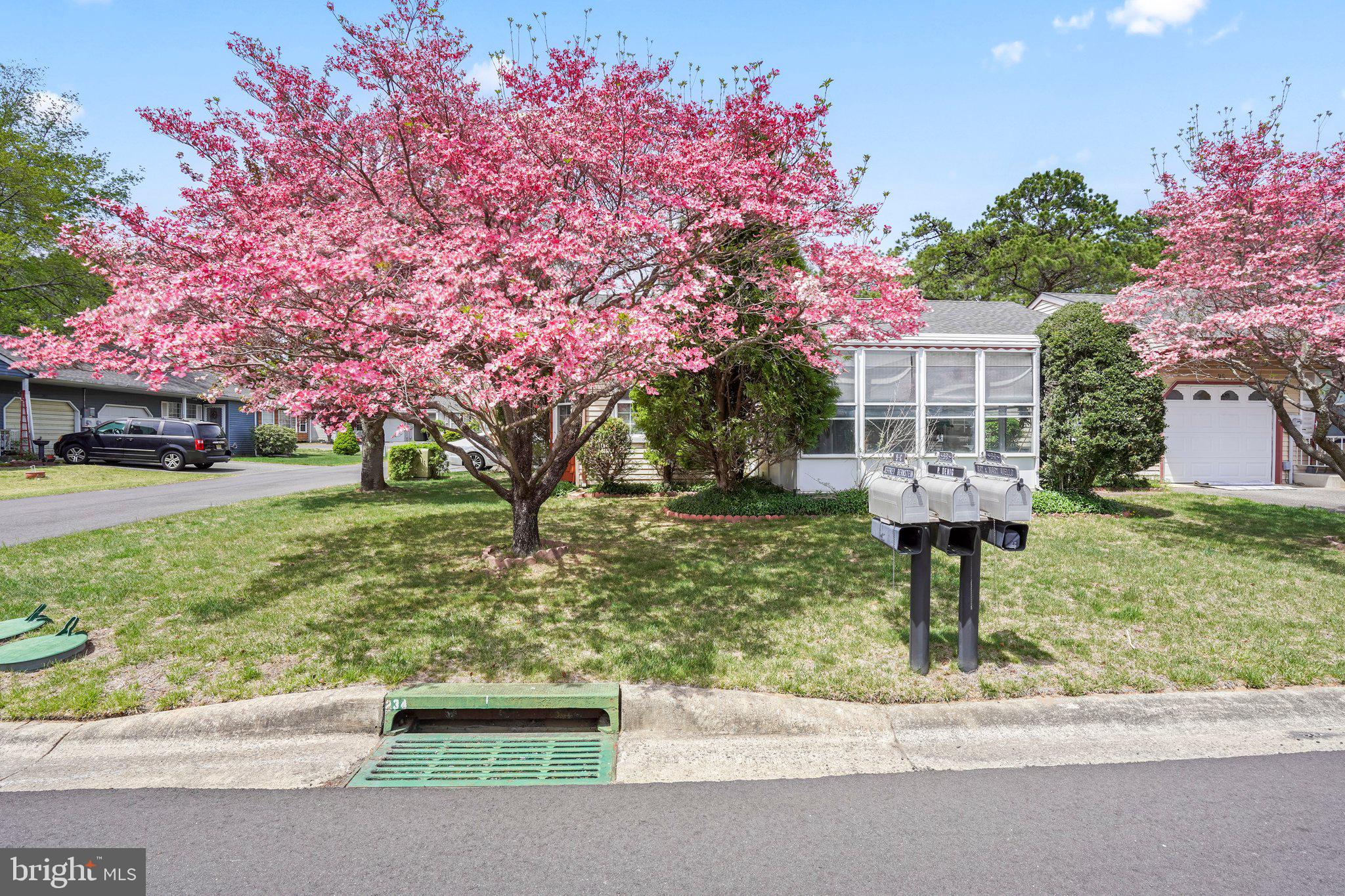9-B Ardsley Avenue Sec 64
