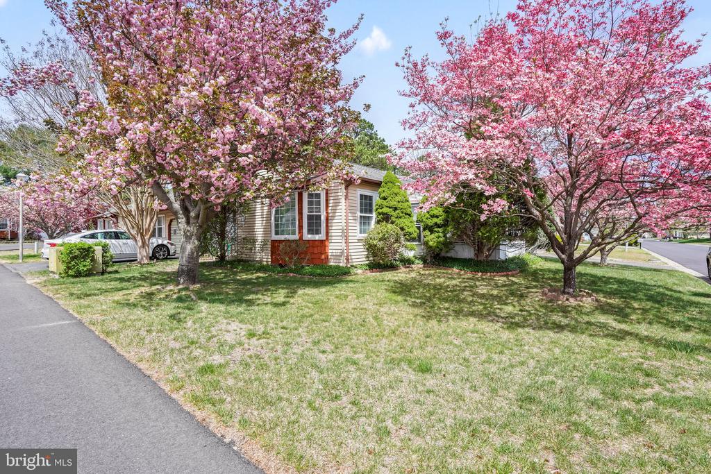 9-B Ardsley Avenue Sec 64