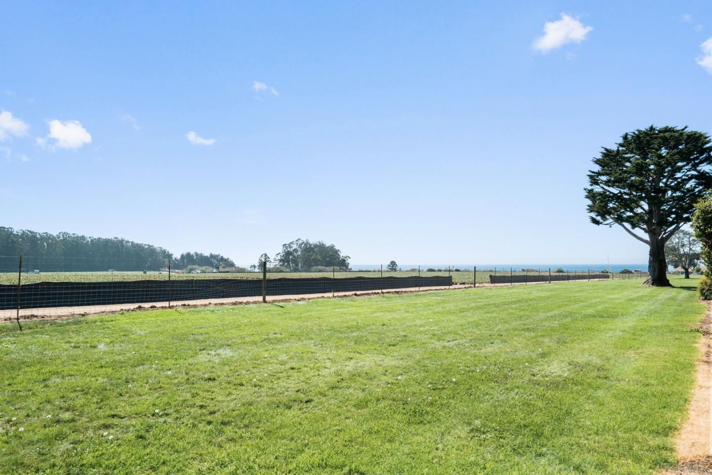 Broad green lawn with a large tree, fenced field, and ocean view on the horizon.