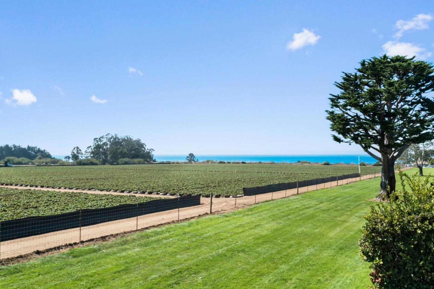 Coastal view across a cultivated field to the ocean, with a broad lawn and large tree in the foreground.