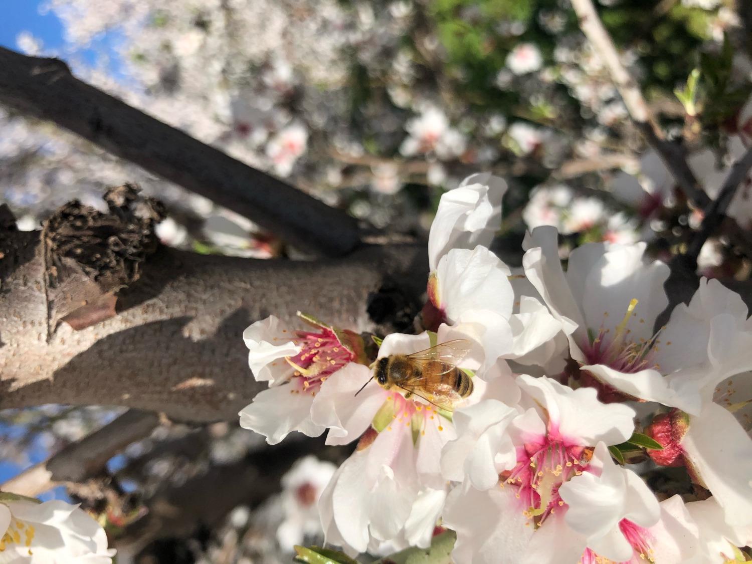 5013 E Highway 4 Road