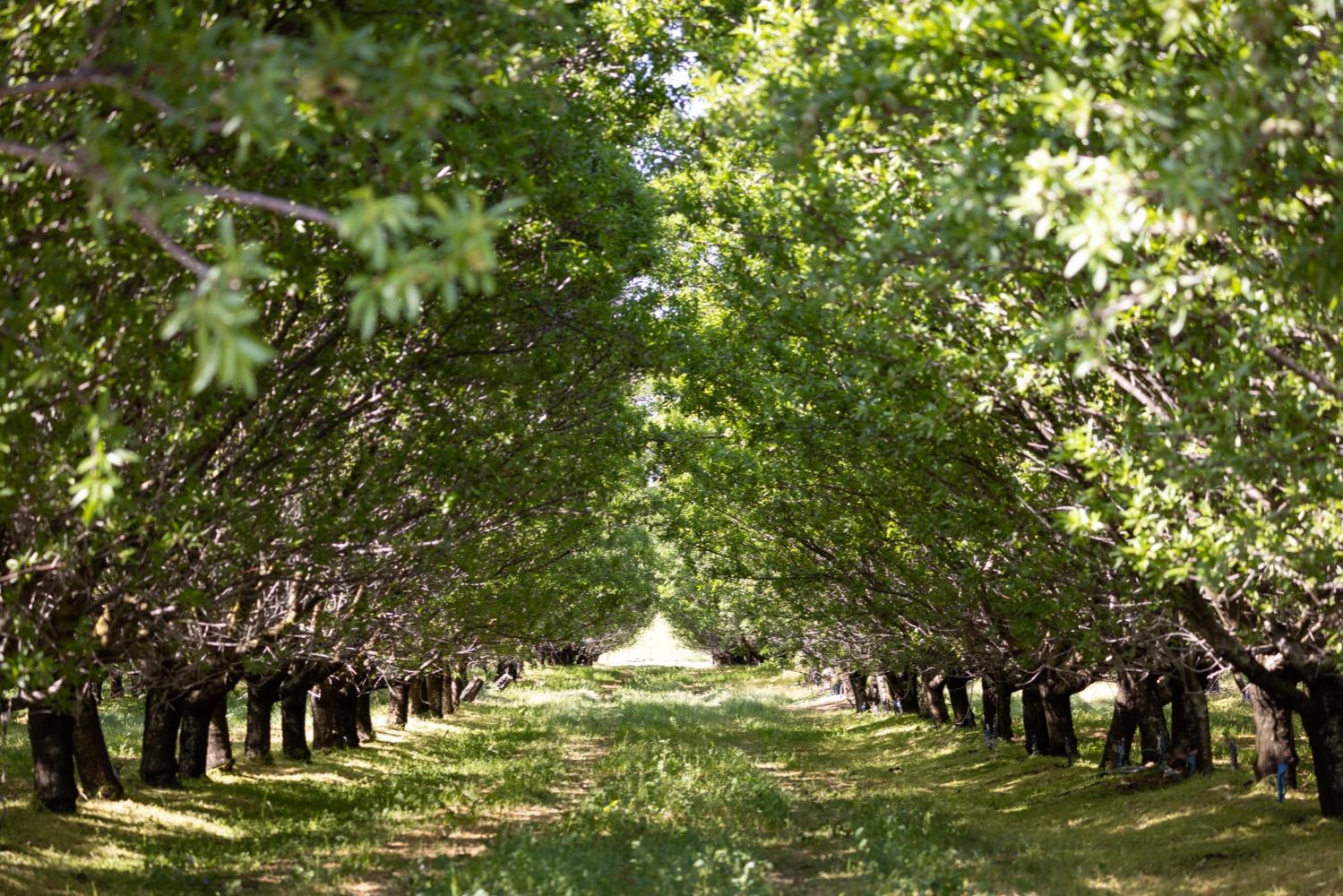 5013 E Highway 4 Road