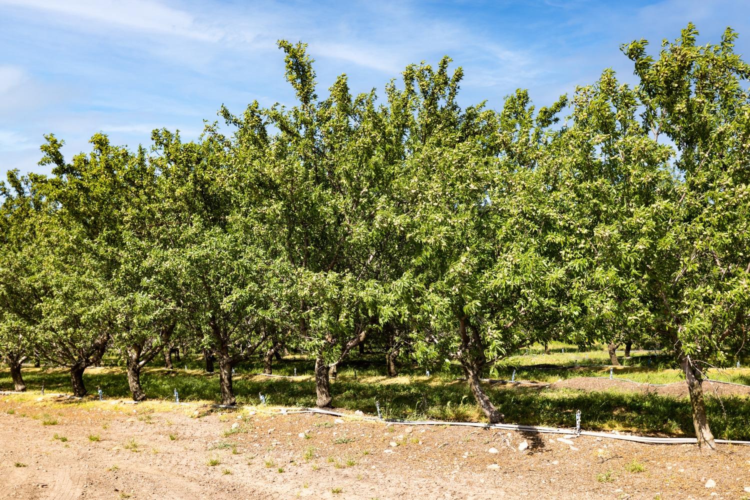 5013 E Highway 4 Road