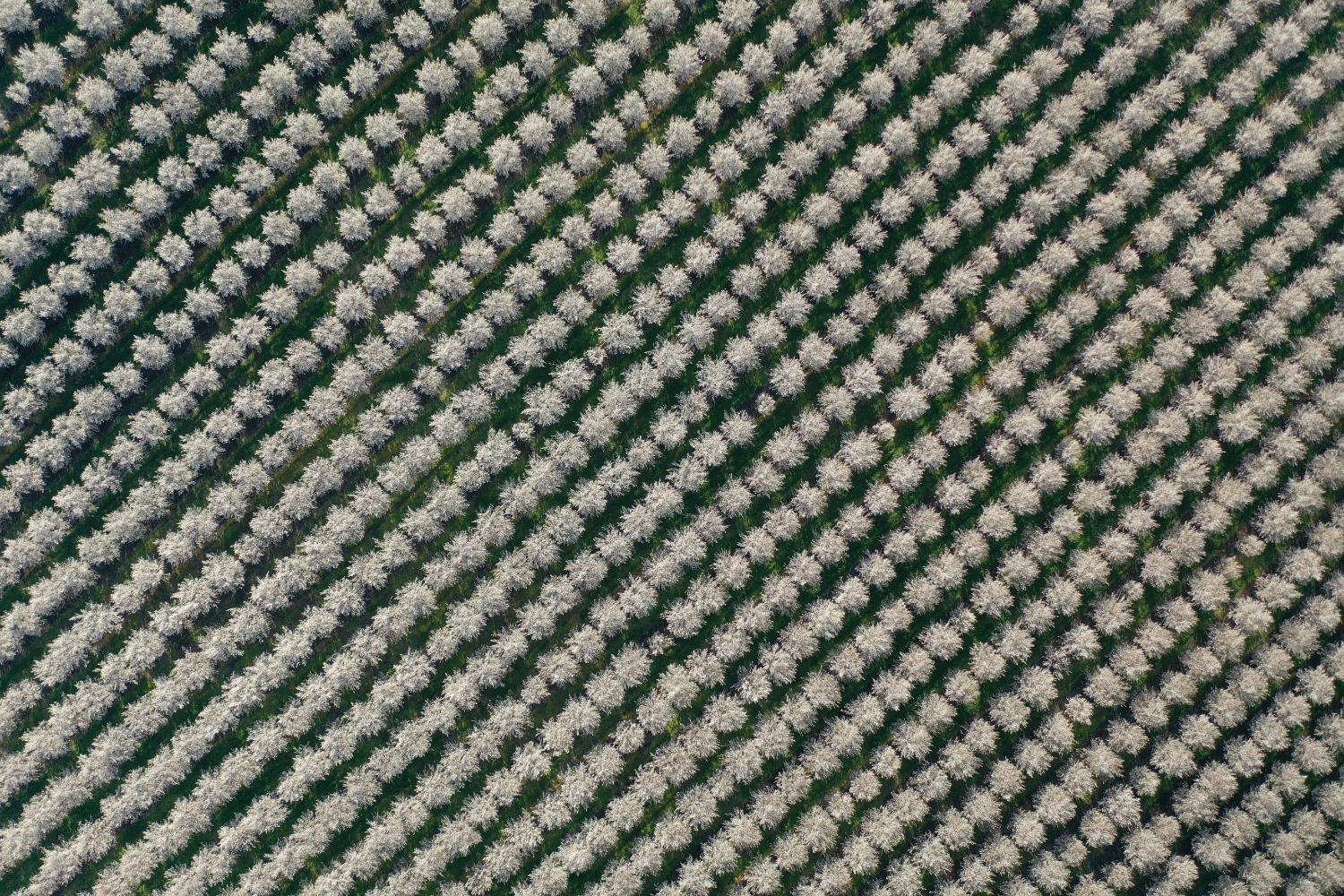 5013 E Highway 4 Road