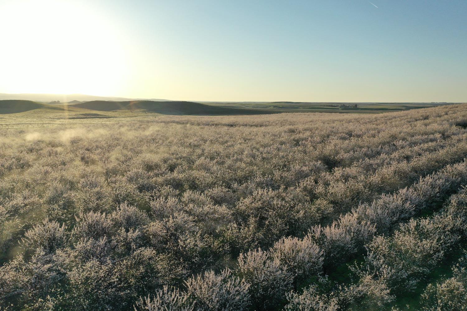 5013 E Highway 4 Road