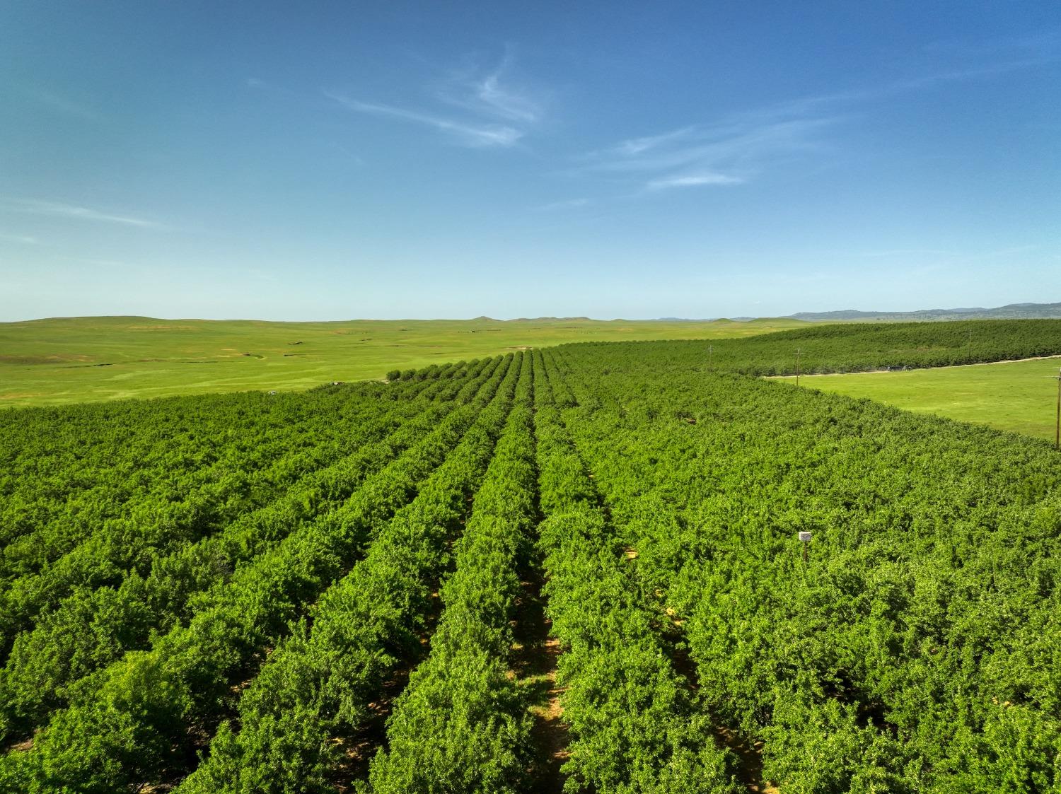 5013 E Highway 4 Road