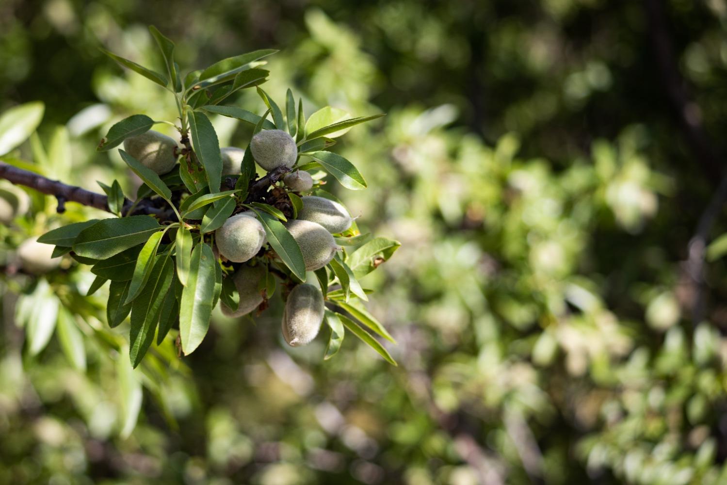 5013 E Highway 4 Road