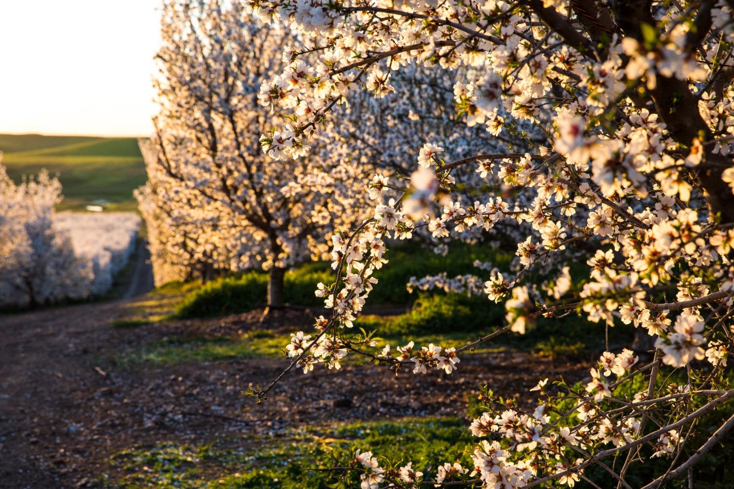 5013 E Highway 4 Road