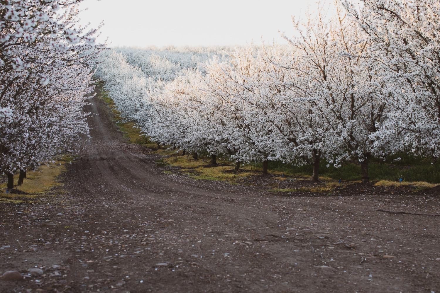 5013 E Highway 4 Road