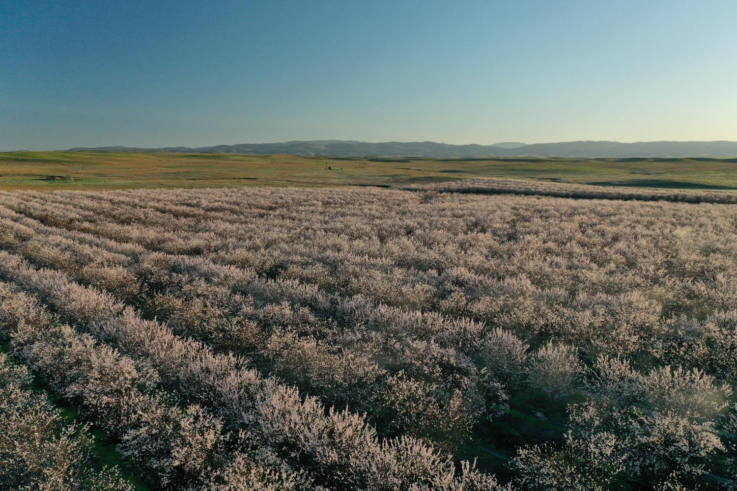 5013 E Highway 4 Road