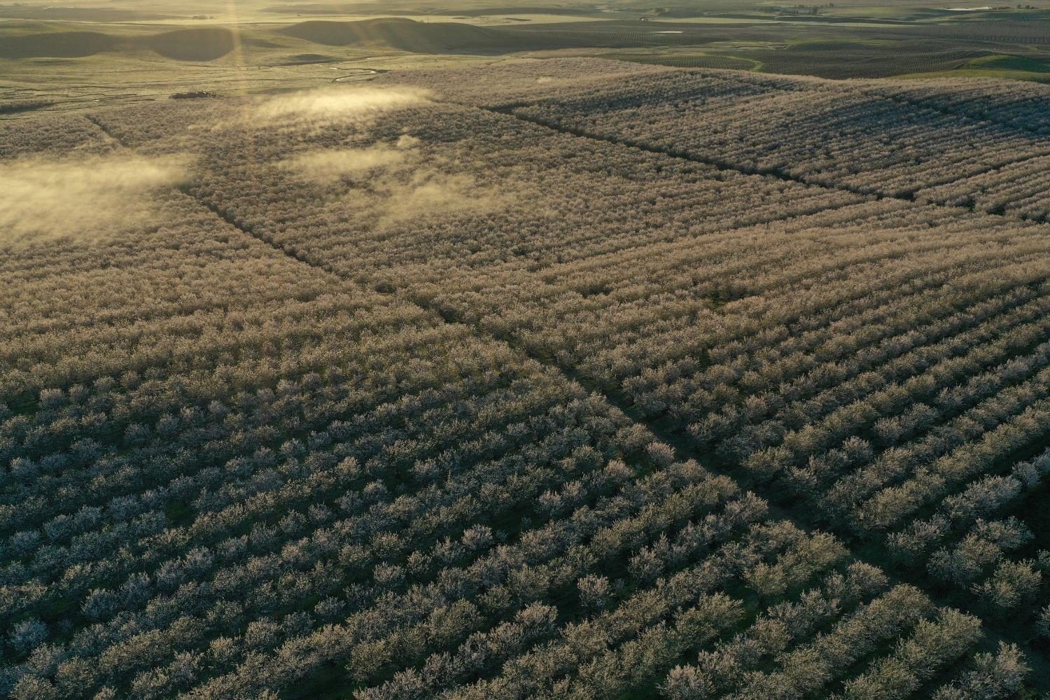 5013 E Highway 4 Road