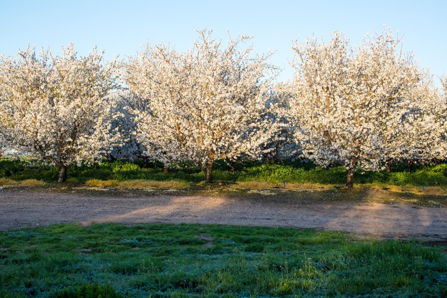 5013 E Highway 4 Road