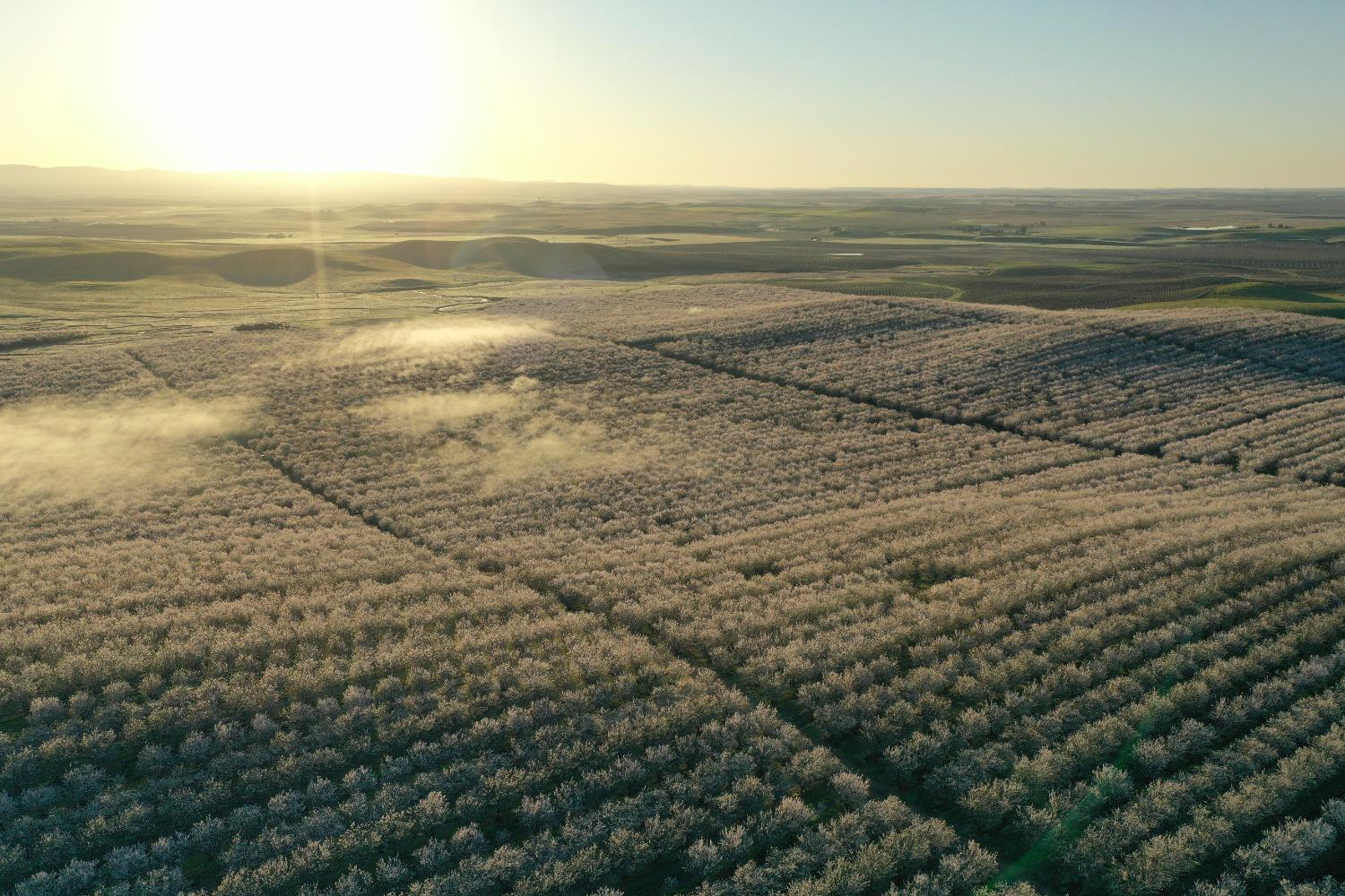 5013 E Highway 4 Road