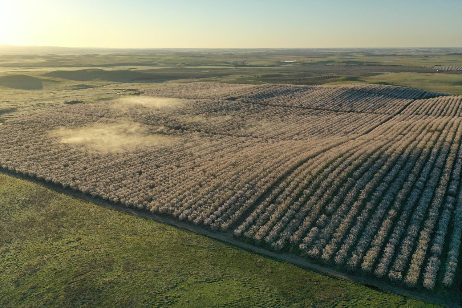 5013 E Highway 4 Road