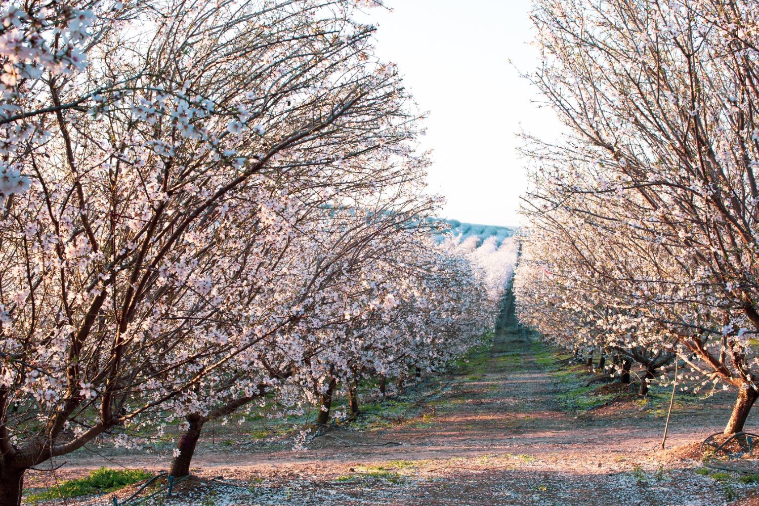 5013 E Highway 4 Road