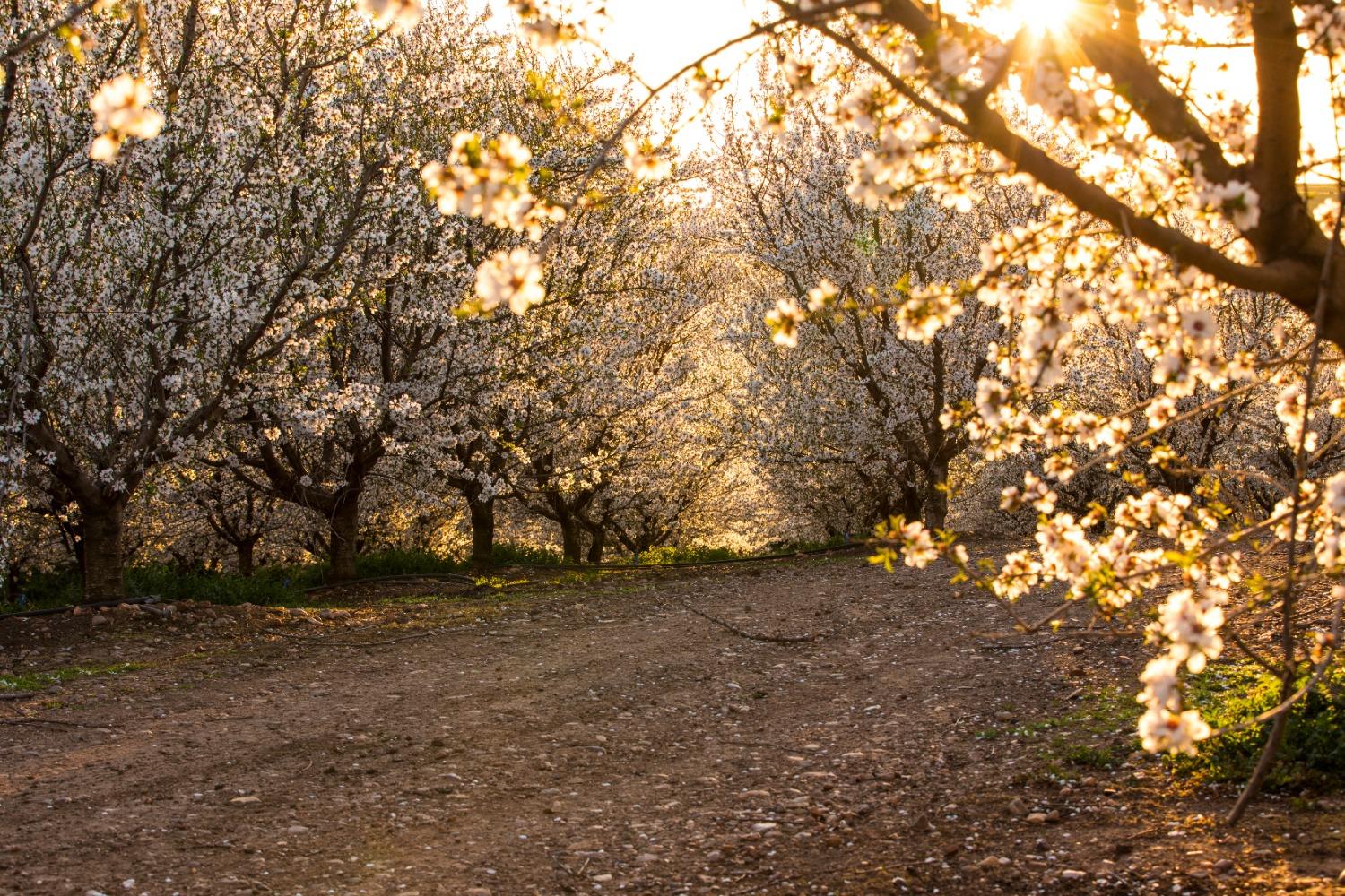 5013 E Highway 4 Road