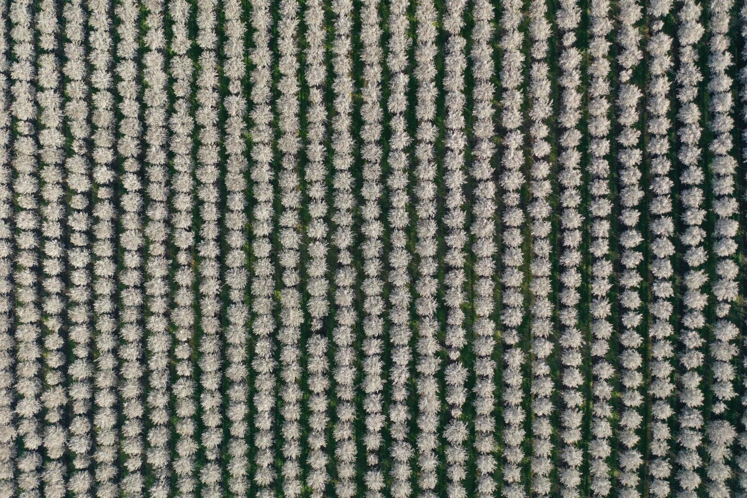 5013 E Highway 4 Road