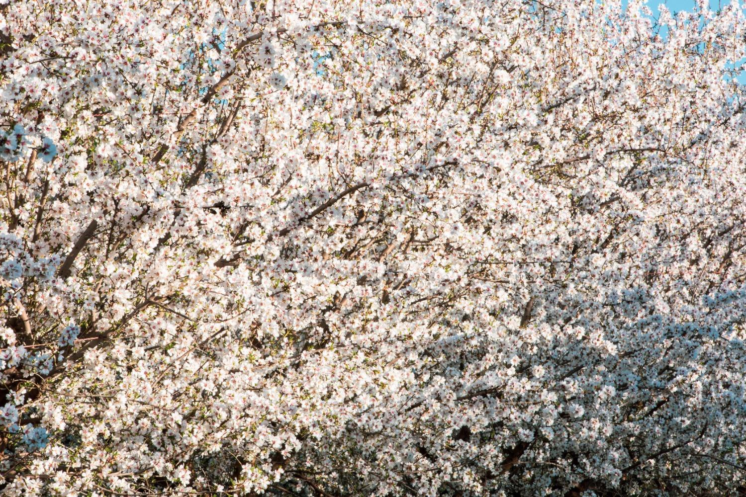 5013 E Highway 4 Road