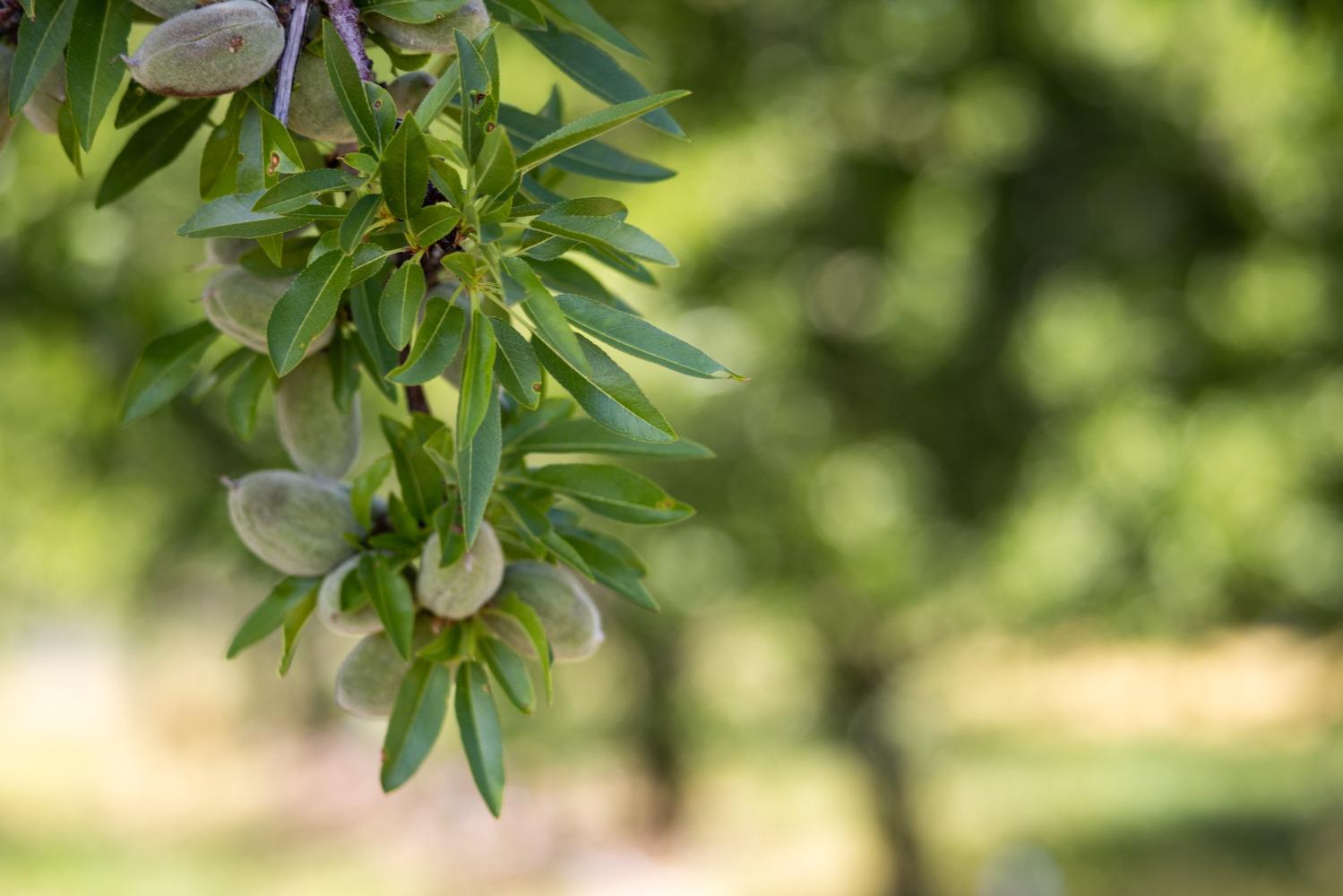 5013 E Highway 4 Road