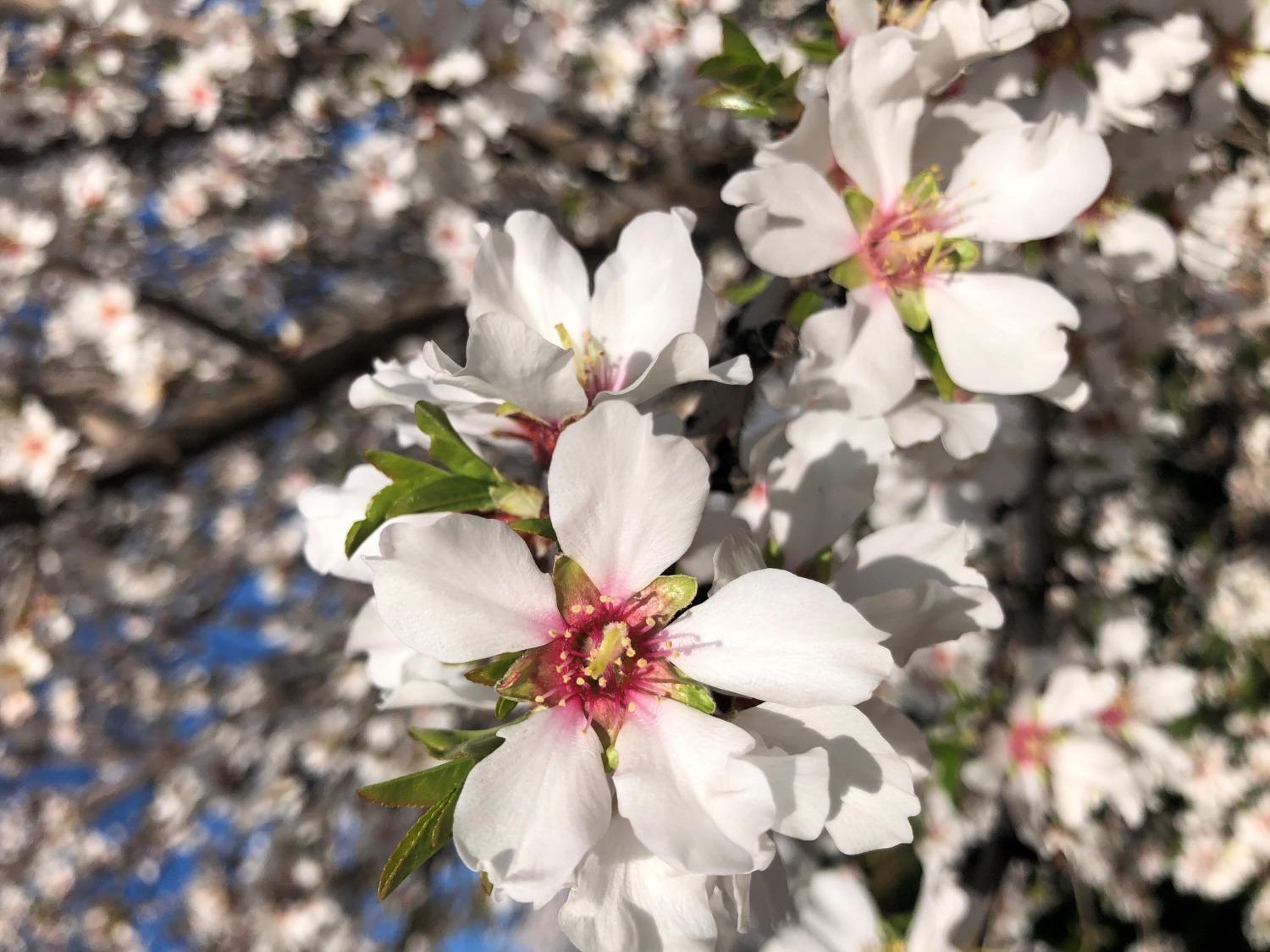 5013 E Highway 4 Road