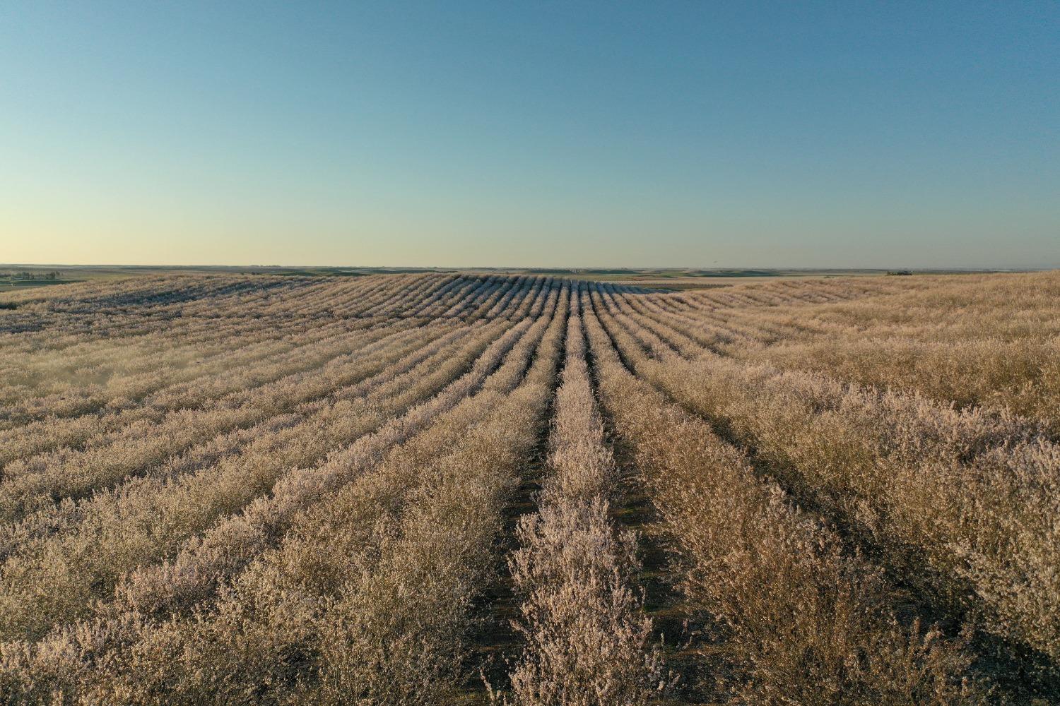 5013 E Highway 4 Road