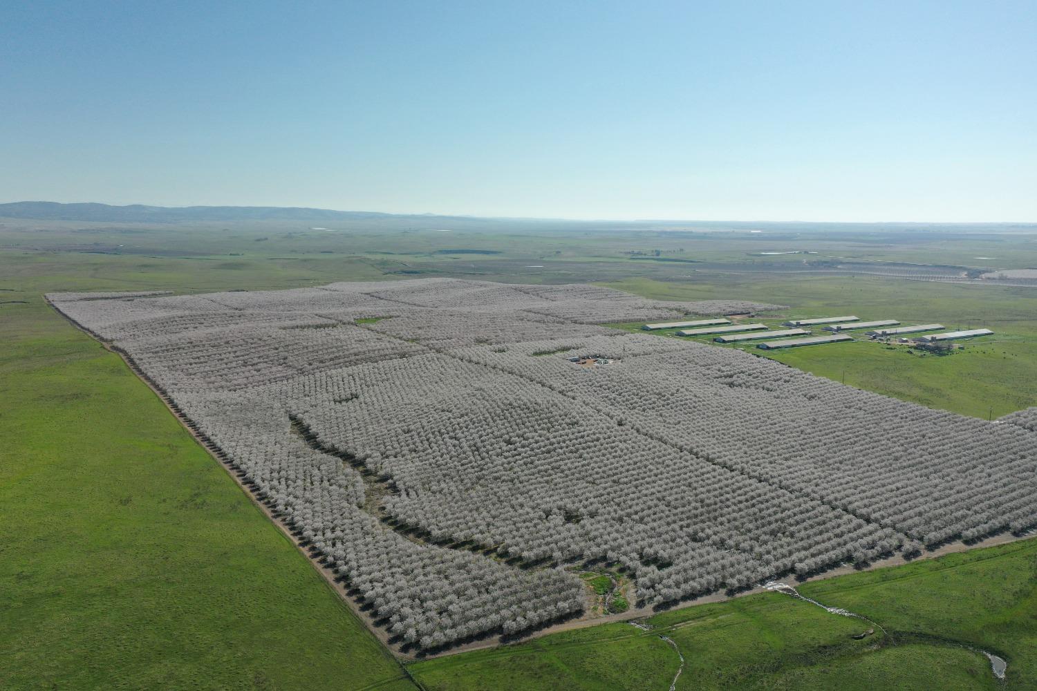 5013 E Highway 4 Road