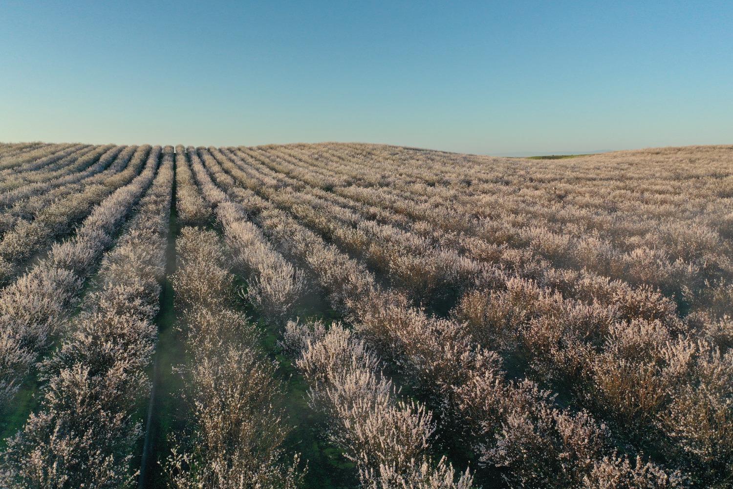 5013 E Highway 4 Road