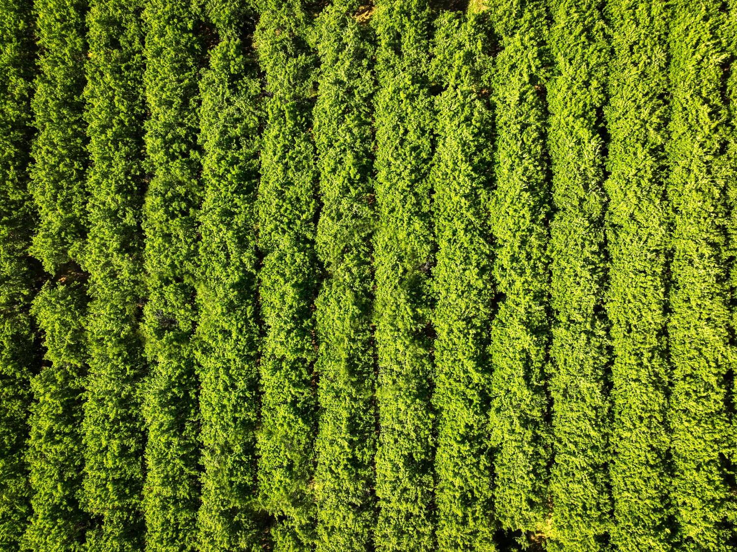 5013 E Highway 4 Road