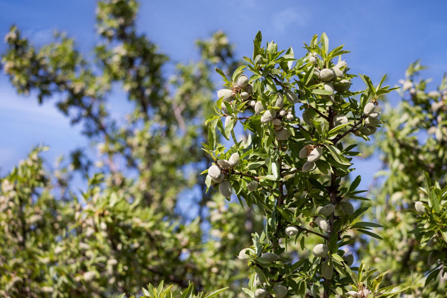 5013 E Highway 4 Road