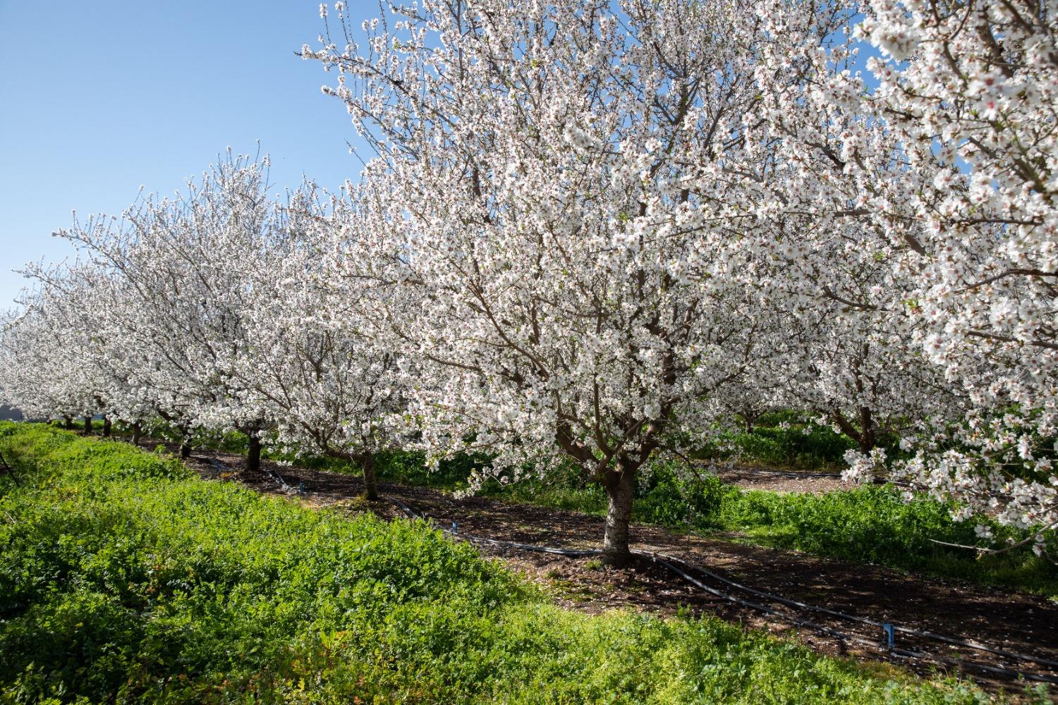 5013 E Highway 4 Road