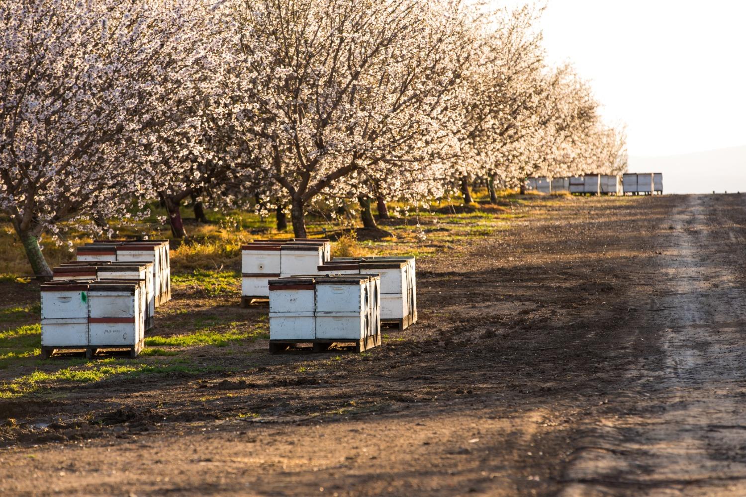 5013 E Highway 4 Road