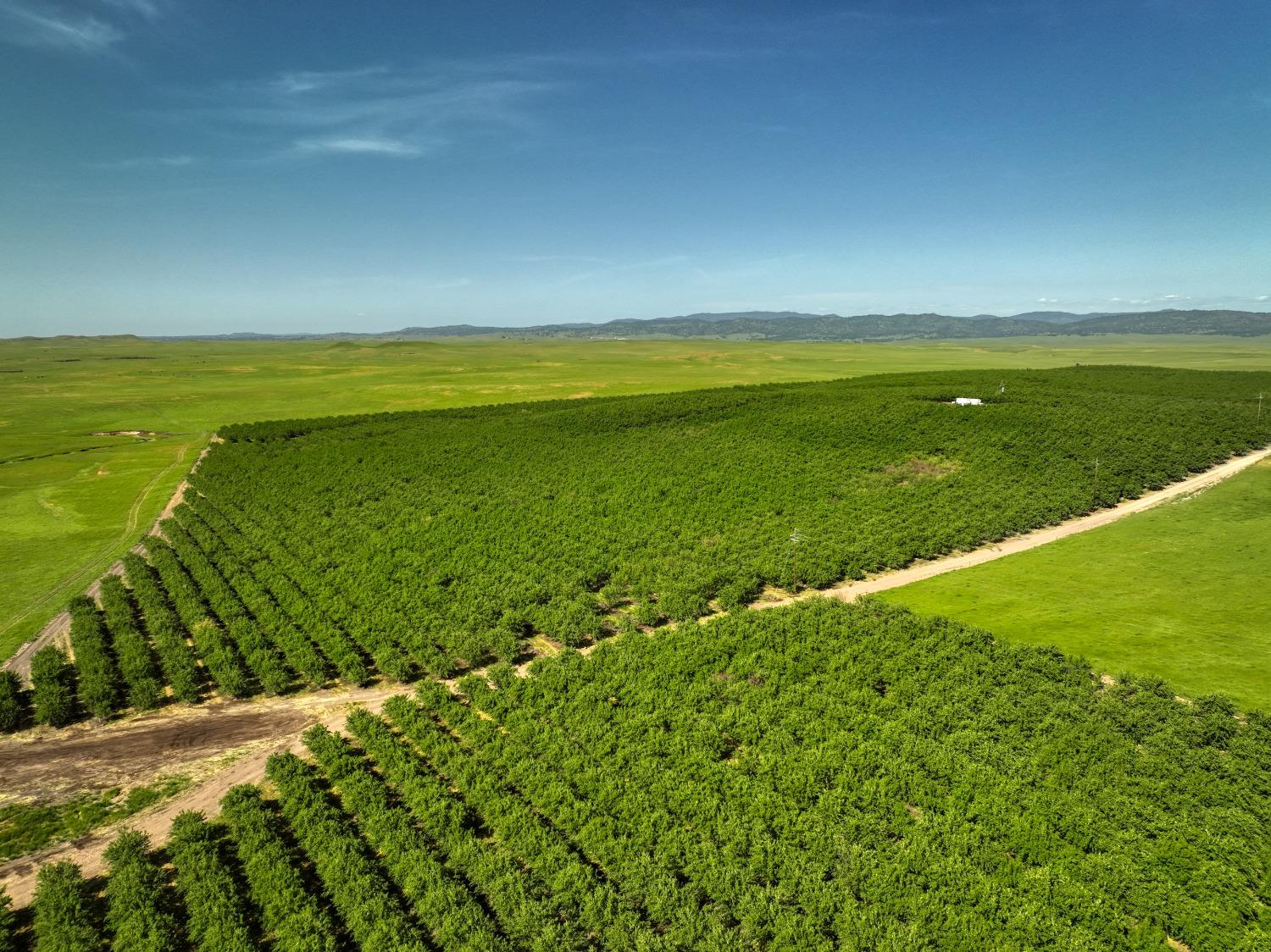 5013 E Highway 4 Road