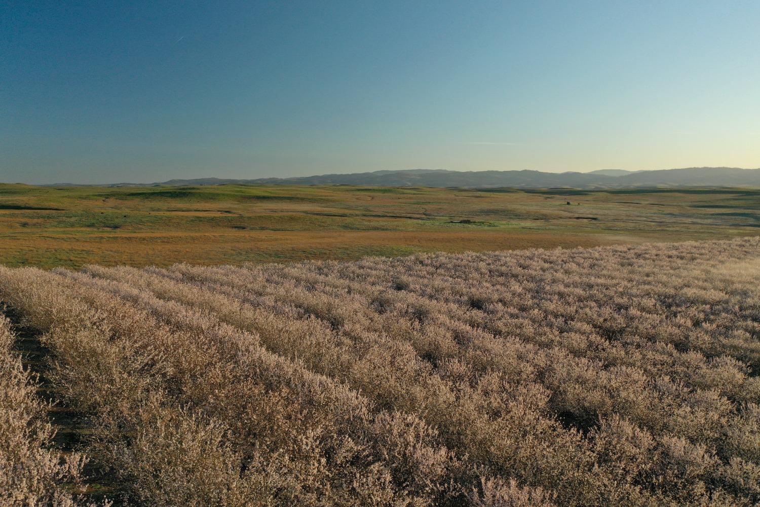 5013 E Highway 4 Road