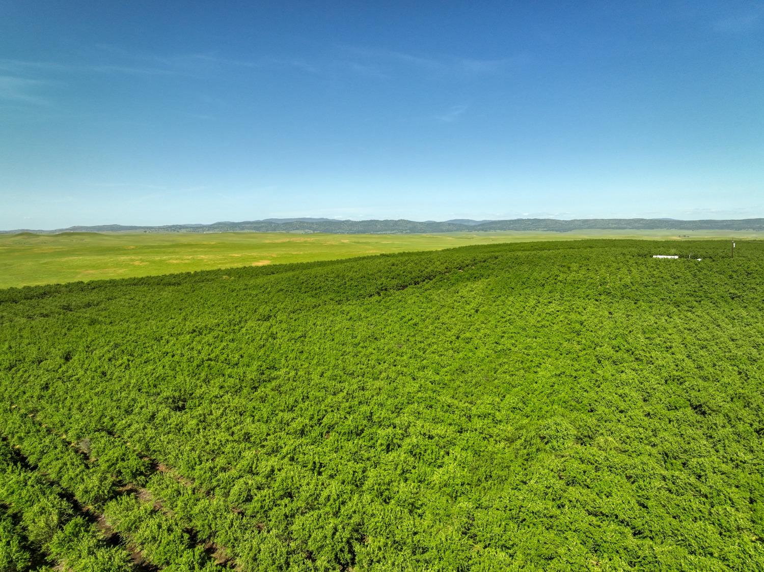 5013 E Highway 4 Road