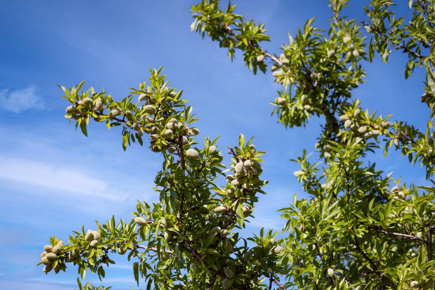 5013 E Highway 4 Road