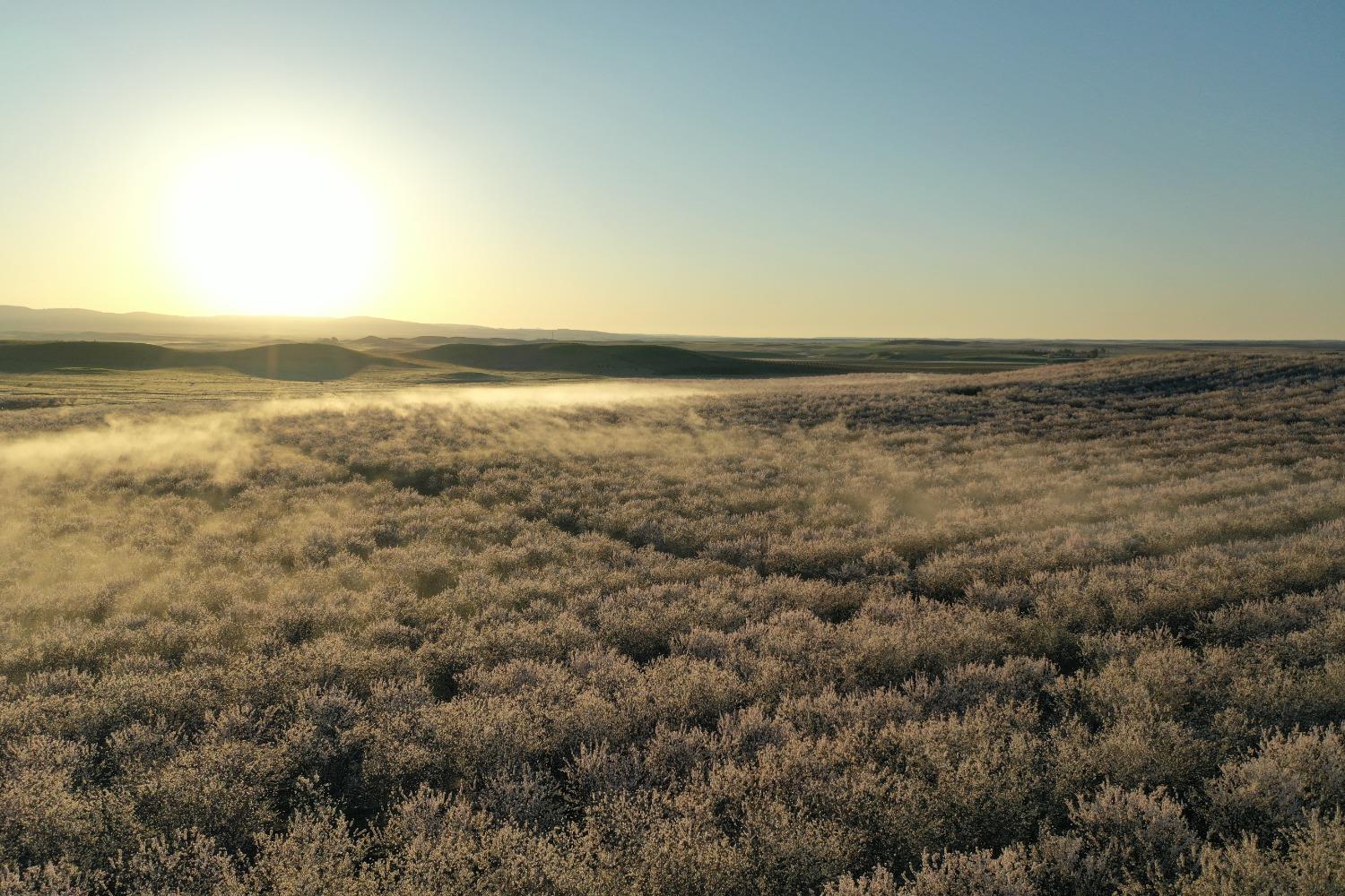 5013 E Highway 4 Road