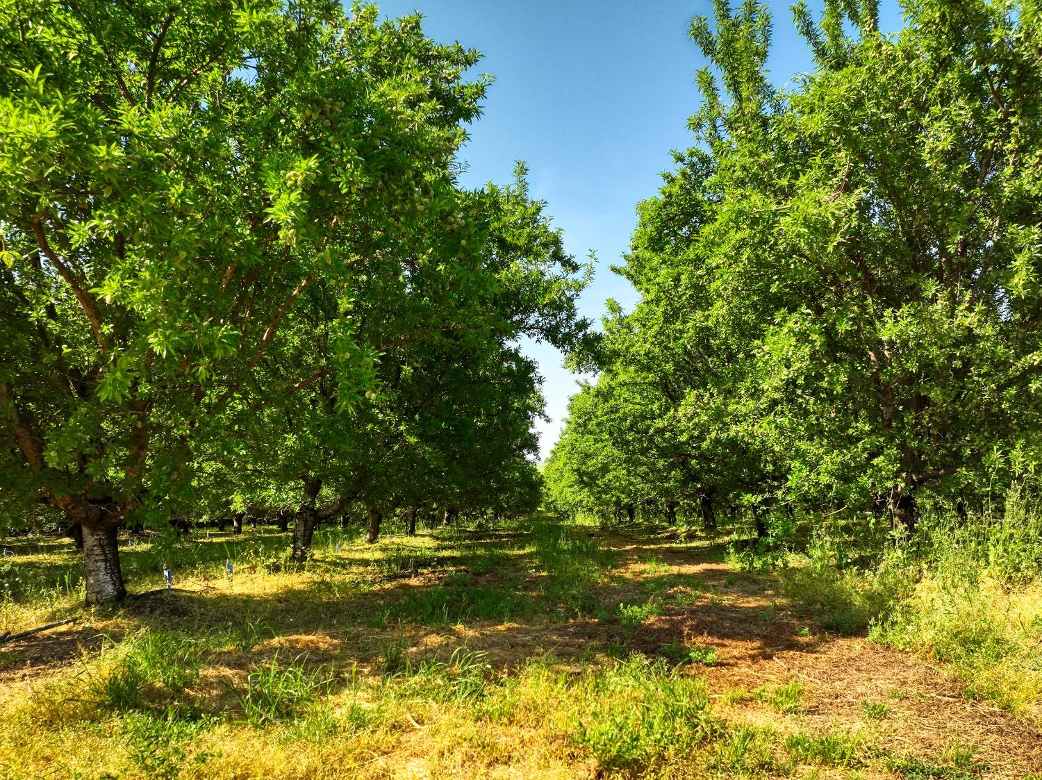 5013 E Highway 4 Road