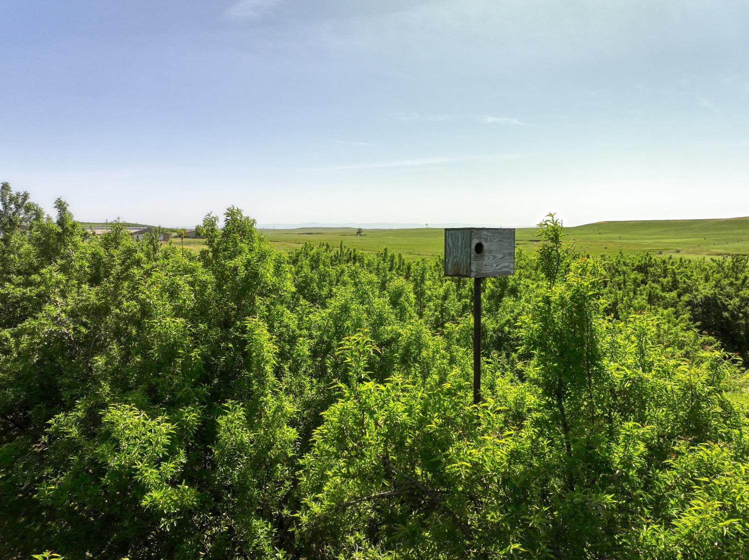 5013 E Highway 4 Road