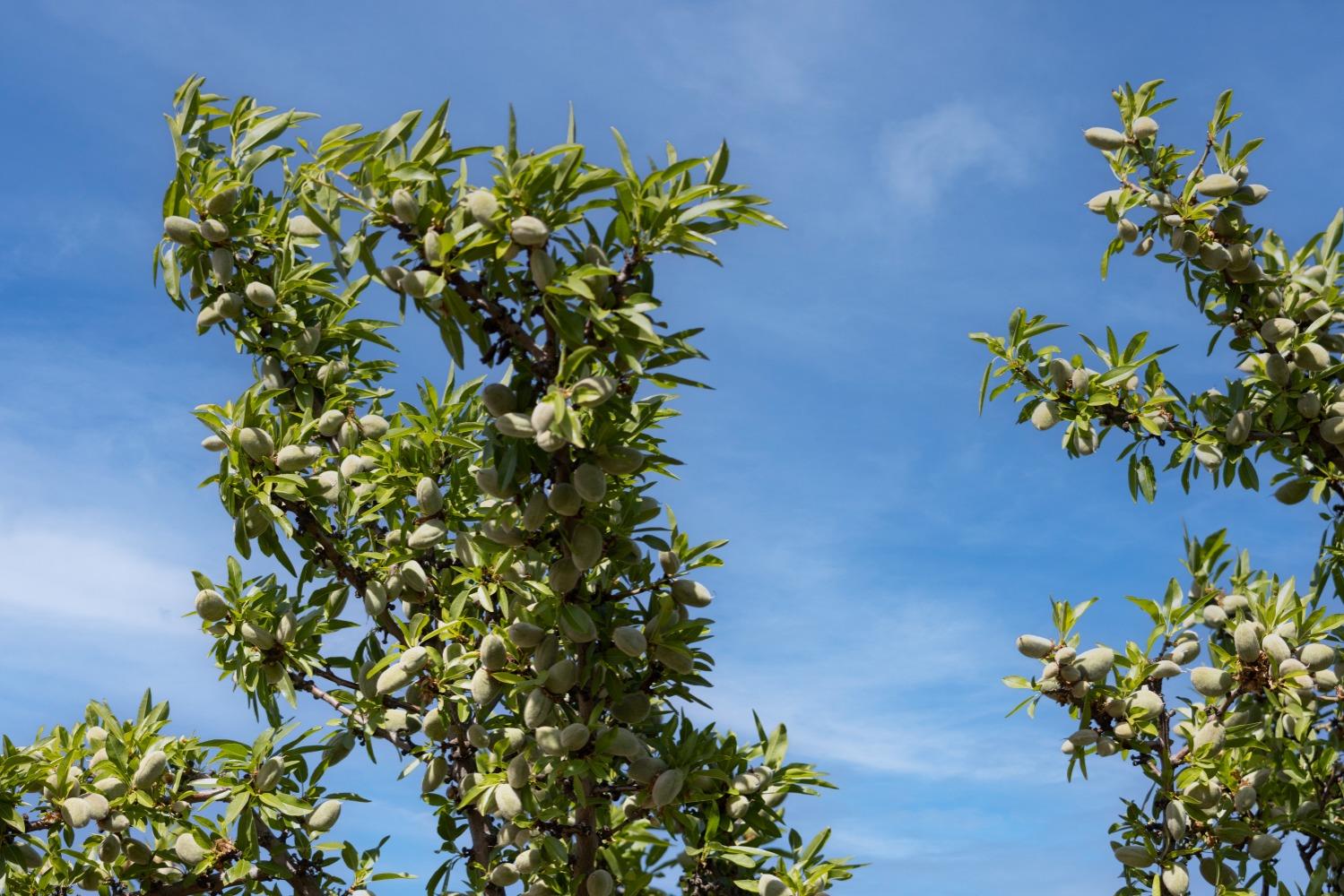 5013 E Highway 4 Road