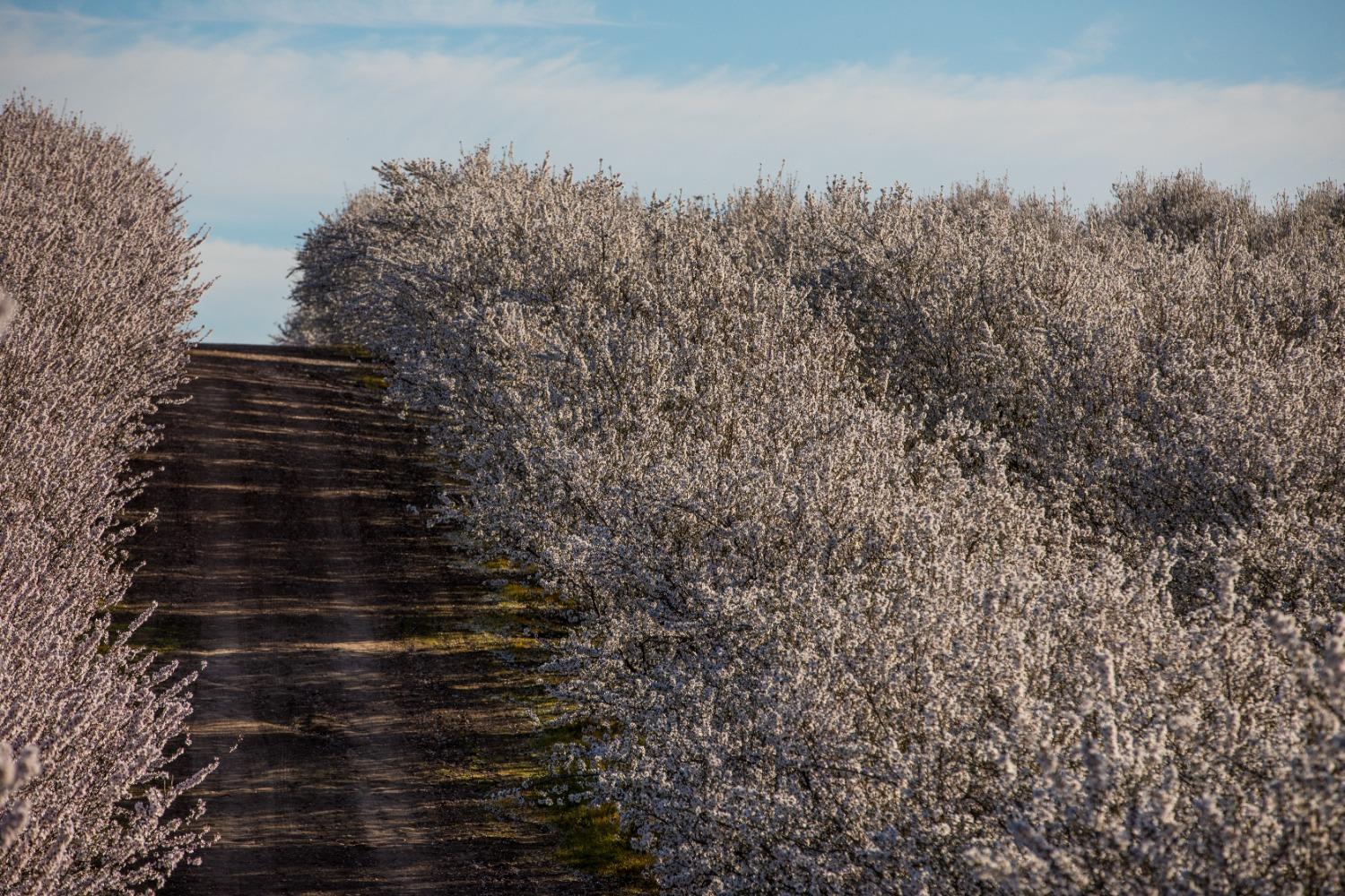 5013 E Highway 4 Road