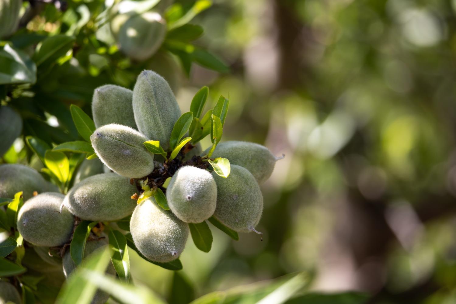 5013 E Highway 4 Road