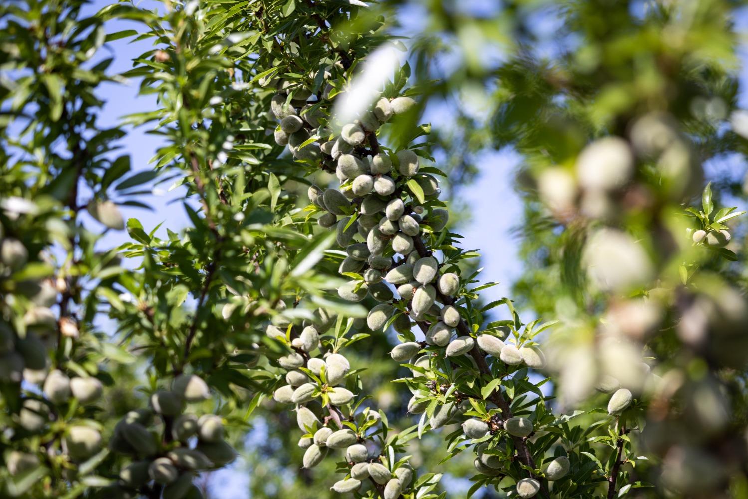 5013 E Highway 4 Road