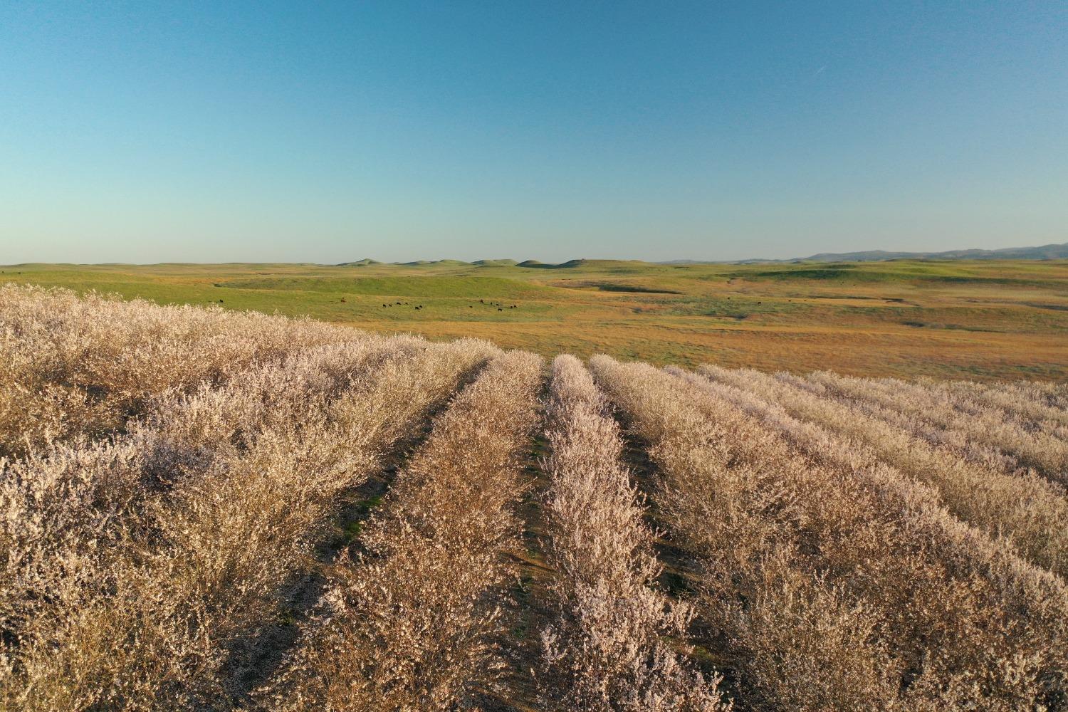 5013 E Highway 4 Road